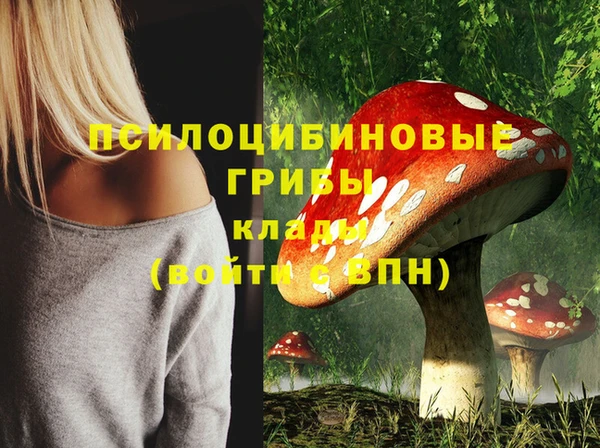 PSILOCYBIN Волосово