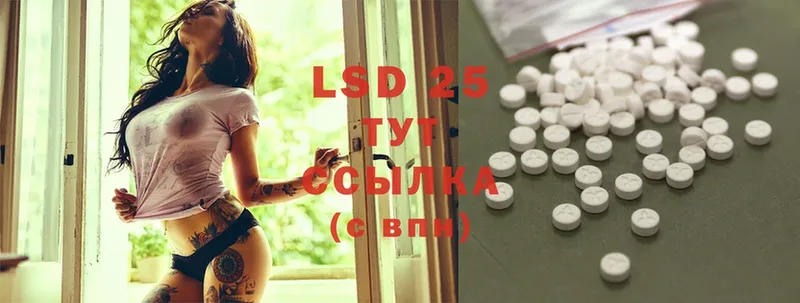 LSD-25 экстази ecstasy  Александров 