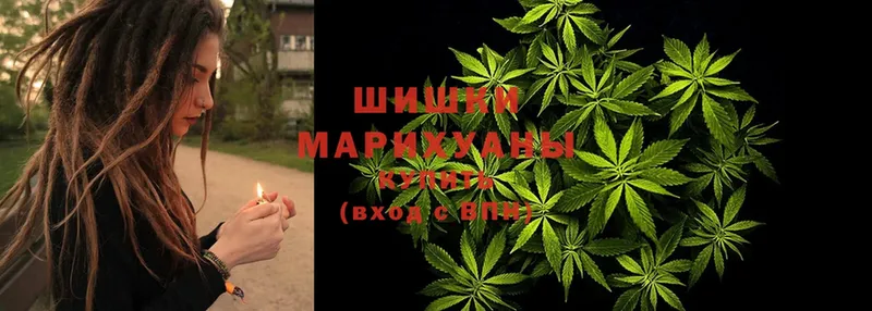 МАРИХУАНА индика  цены   Александров 